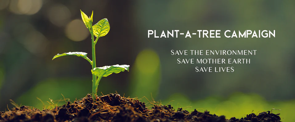 tree plant