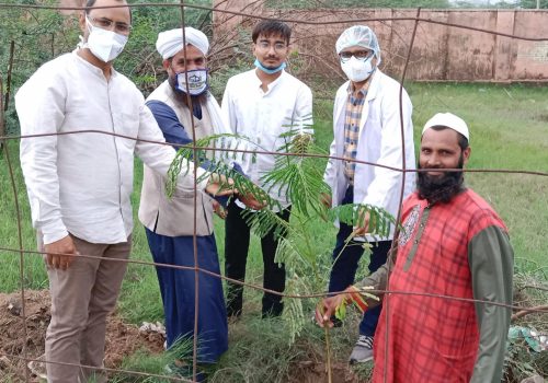 plant environment